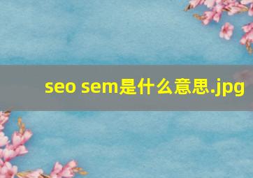 seo sem是什么意思