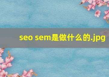 seo sem是做什么的